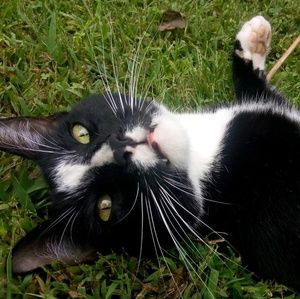 Meet your Posher, Grace